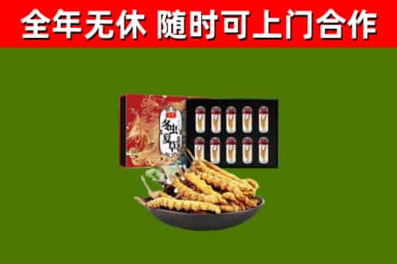 海州区回收冬虫夏草价格